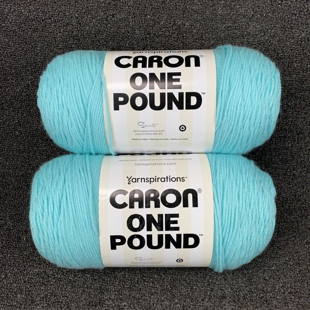 Lot Of 2 Yarnspirations Caron Yarn One Pound Robins Egg Acrylic Yarn 16oz 812yds